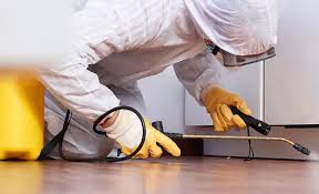 Best Termite Inspection and Treatment  in Bruce, MS